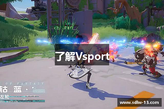 了解Vsport